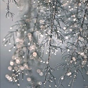 Meet your Posher, Ashly